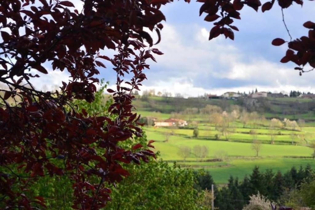 Casa Flo Villa Polignac  Luaran gambar